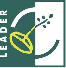 Leader